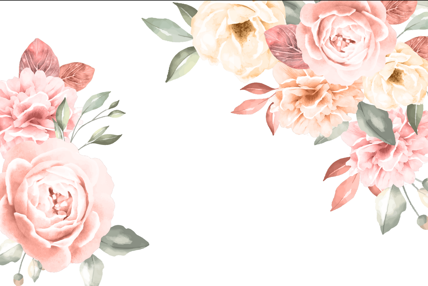 Blush Peony Meadow — Wall Decal